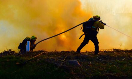 Wildfire Season Is Here! Are You Prepared?