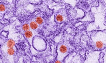 Researchers ‘Solve’ Key Zika Virus Protein Structure