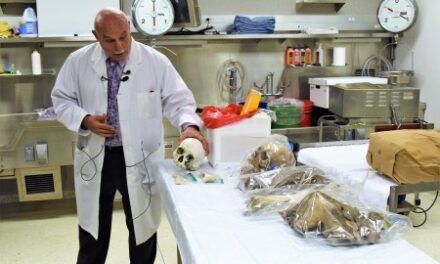 San Diego Medical Examiner Release 20 Years Of Data Online