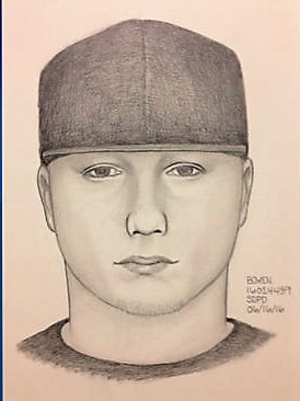 San Diego Police Need Assistance Identifying a Sexual Assault Suspect