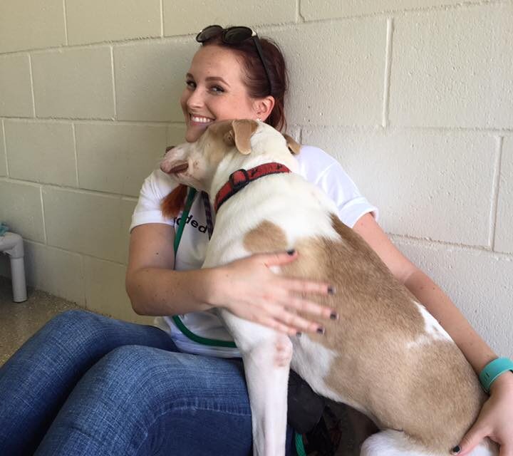 ‘Flood Dogs’ To Be Adopted At Rancho Coastal Humane Society