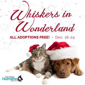 San Diego Humane Society Launch ‘Whiskers In Wonderland’ Adoption