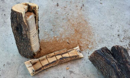 Customs And Border Protection Officers Seize Marijuana Inside Of Firewood