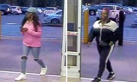 Two Female Suspects Walk Out With Two Televisions At Retail Store