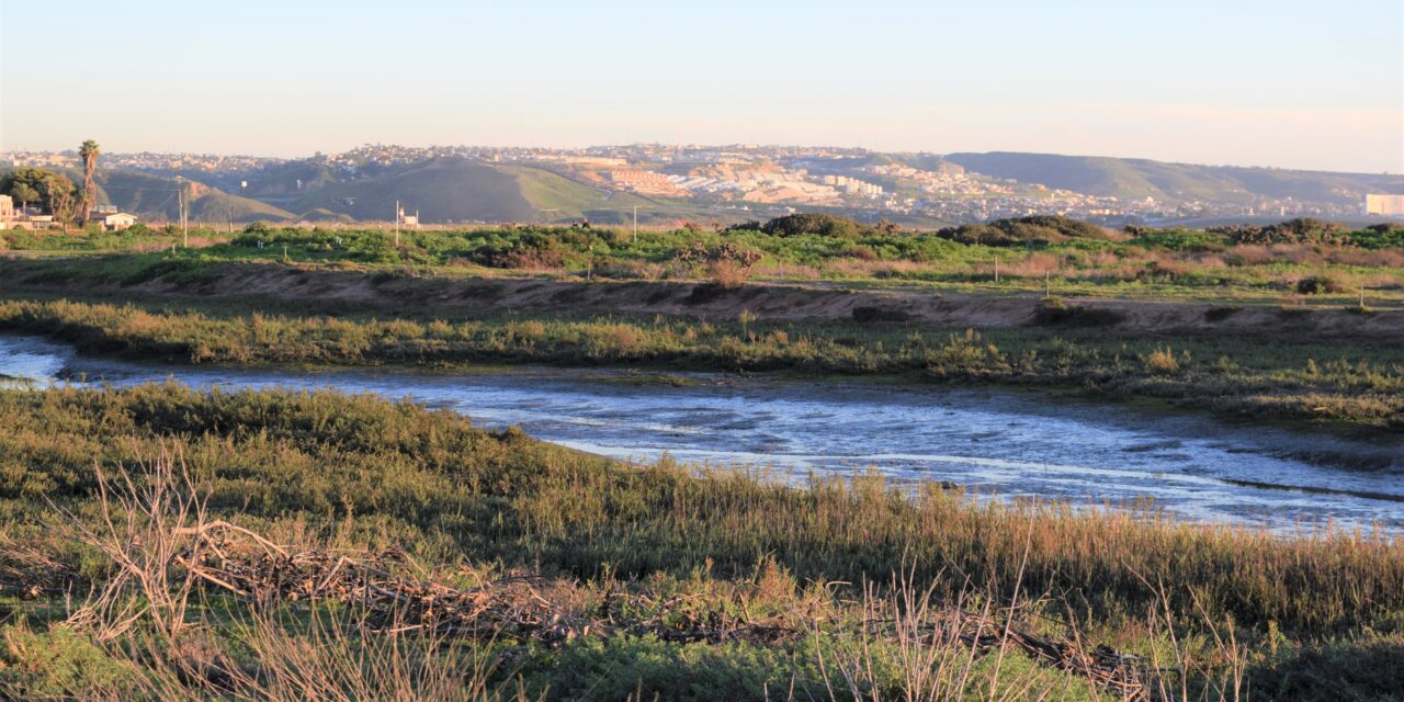 County environmental health close beach shorelines due to sewage-runoff from the Tijuana River