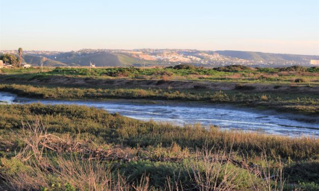 Water contact closure lifted for the Tijuana Slough shoreline
