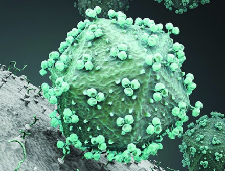 San Diego Team Tests Best Delivery Mode For Potential HIV Vaccine
