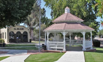Oceanside Parks and Recreation programs suspended