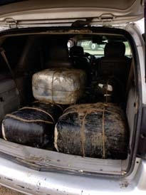 Texas Border Patrol Agents Seize Over 1,000 Pounds Of Marijuana From Vehicles
