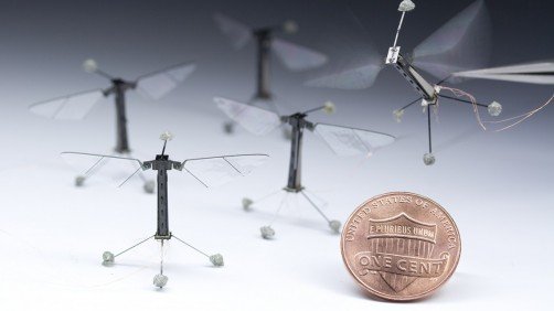 Engineers Program Tiny Robots To Move, Think Like Insects