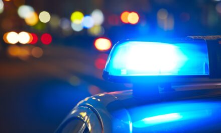 Felony Warrant Suspect Leads Deputies In Traffic Pursuit