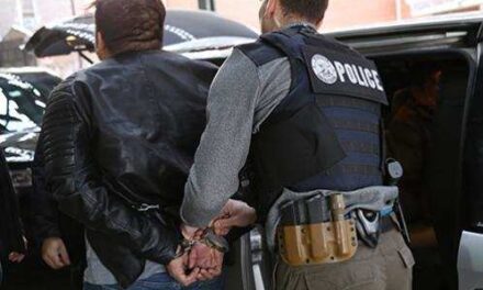 ICE Arrests 225 During Operation Keep Safe In New York