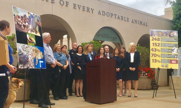 District Attorney’s Office Establishes New Animal Cruelty Prosecution Unit