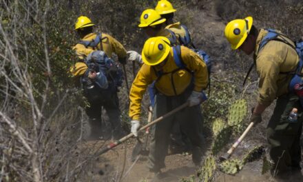 Camp Pendleton Fires Burn More Than 1,600 Acres Of Base