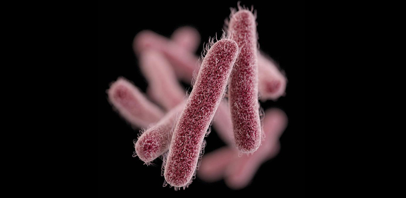 County Health And Human Services Issues Shigellosis Advisory