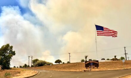Camp Pendleton Brush Fire 50% Contained