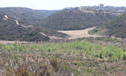 SANDAG To Preserve Nearly 112 Acres Of Habitat In Carmel Valley