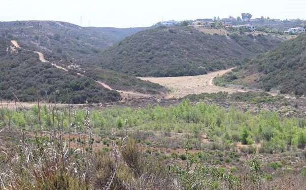 SANDAG To Preserve Nearly 112 Acres Of Habitat In Carmel Valley