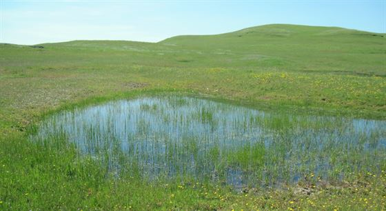 Company In California Agrees To Pay Clean Water Act Fines, Mitigate Impacts To Sensitive Streams And Wetlands