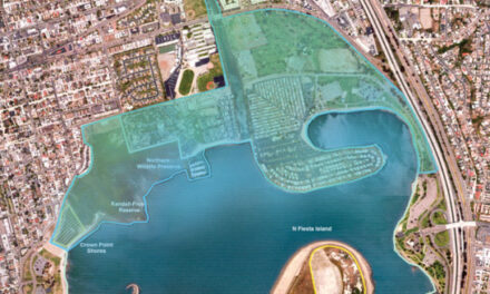 Conceptual Plans Released For Mission Bay Wetlands Restoration