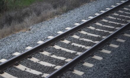 Pedestrian struck by train dies