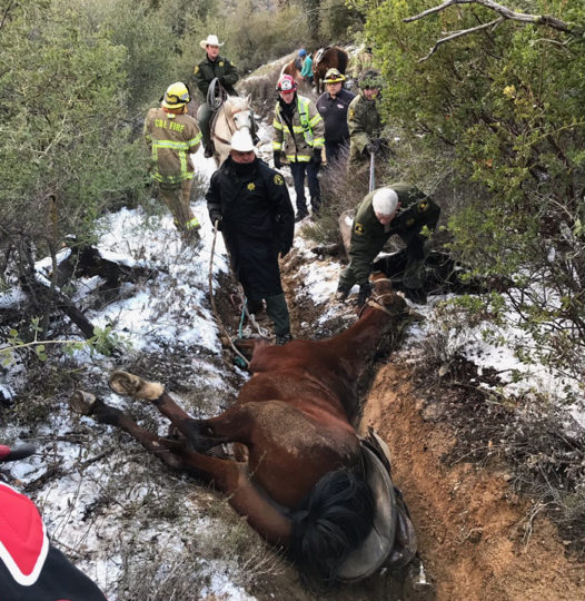 County Agencies Rescue Horse Stuck In Mud