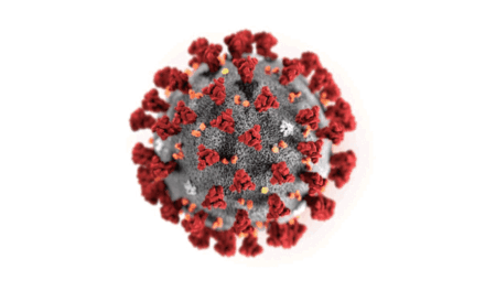 Traveler to China tested negative for new Coronavirus