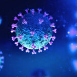 T cells tackle new ‘Pirola’ SARS-CoV-2 variant