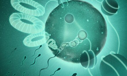 How sperm unpack dad’s genome so it can merge with mom’s