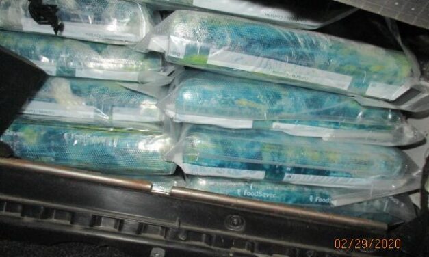 Feds seize $1.8m in narcotics in two vehicles at San Ysidro port of entry
