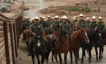 Border Patrol increases coastal patrols to combat COVID-19
