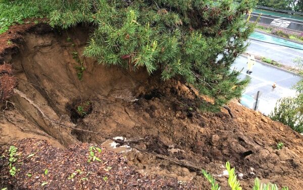 Heavy rains cause bluff to collapse in Del Mar