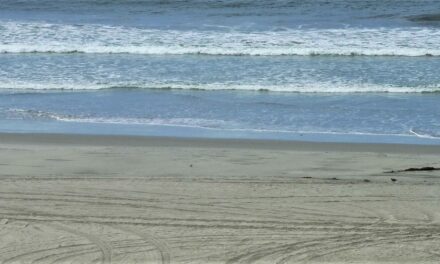 County environmental health issues beach advisories, closures