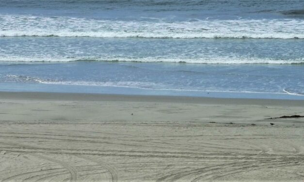 County environmental health issues beach advisories, closures