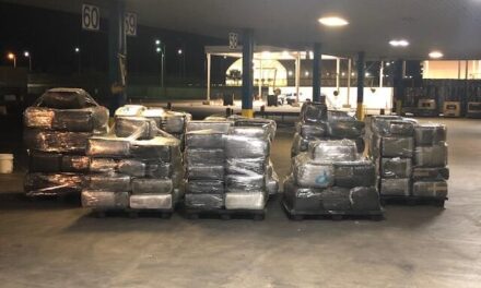 Border Protection officers  seize over $920,000 in marijuana within commercial shipment