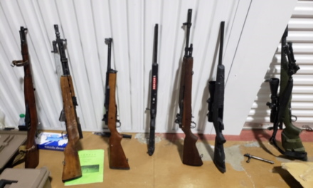 Border Patrol and Sheriff’s Office seize stolen weapons