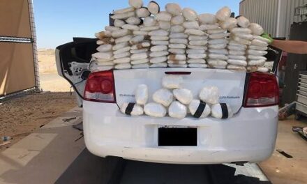 Feds see an increase in narcotics seizures at immigration checkpoints, and along the border