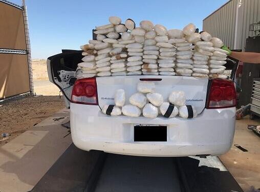 Feds see an increase in narcotics seizures at immigration checkpoints, and along the border