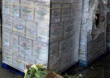 Feds uncover meth load hidden in a shipment of green onions