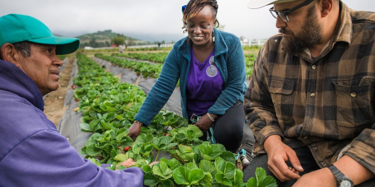 San Diego Food System Alliance seeks community input on Food Vision 2030 strategies