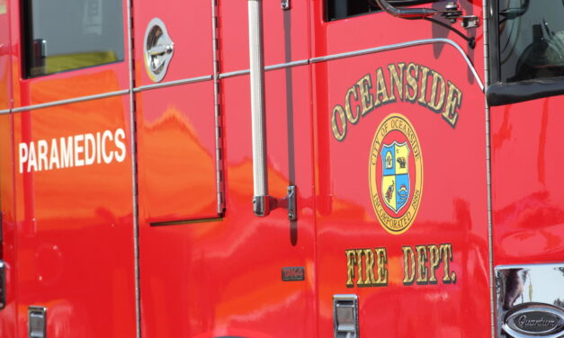 Fire crews contain vegetation fire in Oceanside