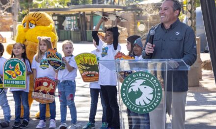Wildlife Explorers Basecamp brings innovation and immersive nature play to the San Diego Zoo