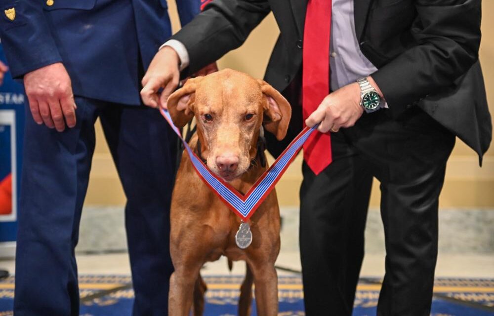 California Coast Guard K-9 recognized with Distinguished Service Medal