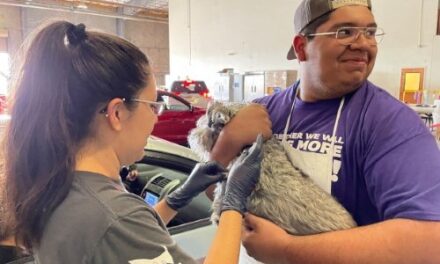 Rancho Coastal Humane Society, Petco Love to provide free pet vaccines