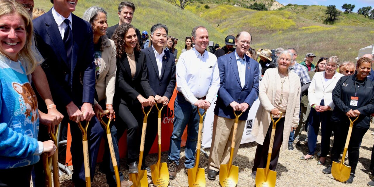 California breaks ground for largest wildlife crossing for mountain lions