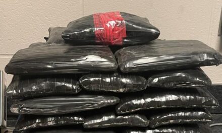 Customs and Border Protection officers seize $548,987 in fentanyl at Texas Port of Entry