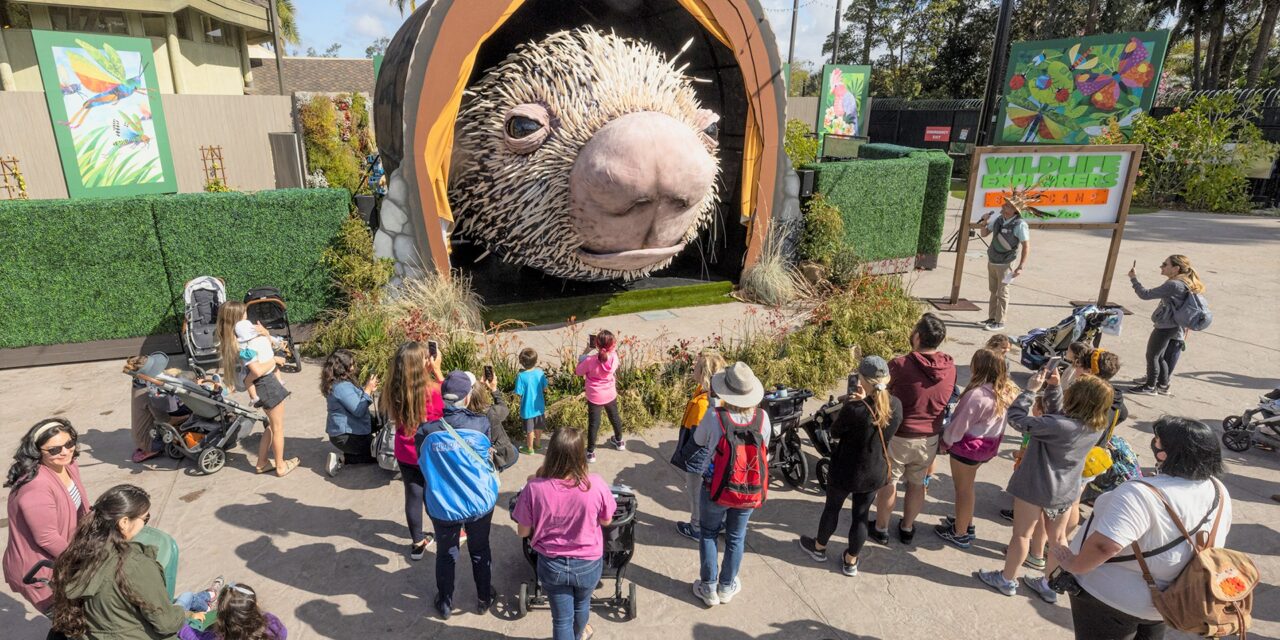 San Diego Zoo debuts Percy the Porcupine Puppet on Earth Day