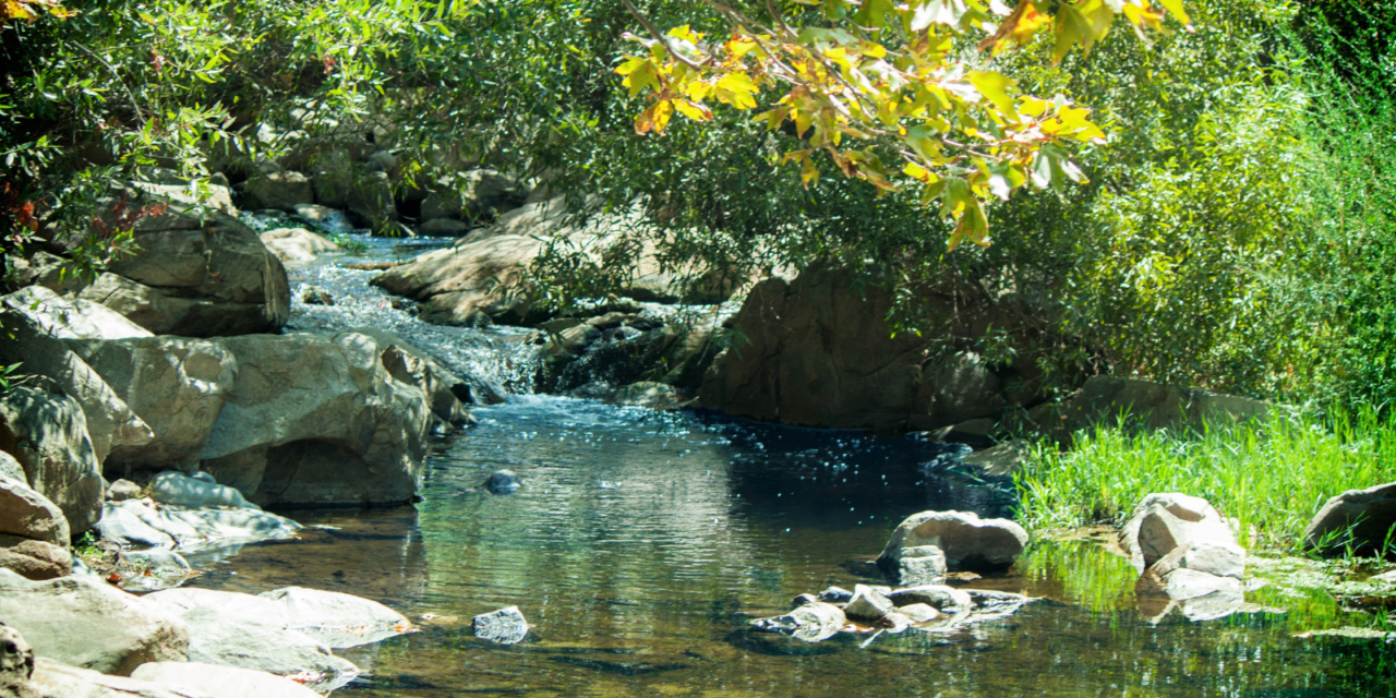 Community to vote for Escondido Creek Conservancy grant