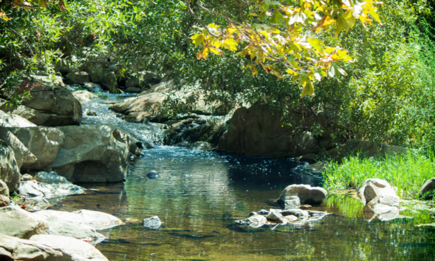 Community to vote for Escondido Creek Conservancy grant