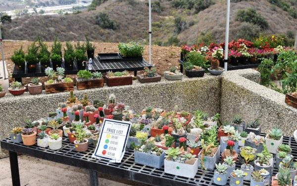 Sheriff’s Dept. gardening and landscaping program rehabilitation with job training program